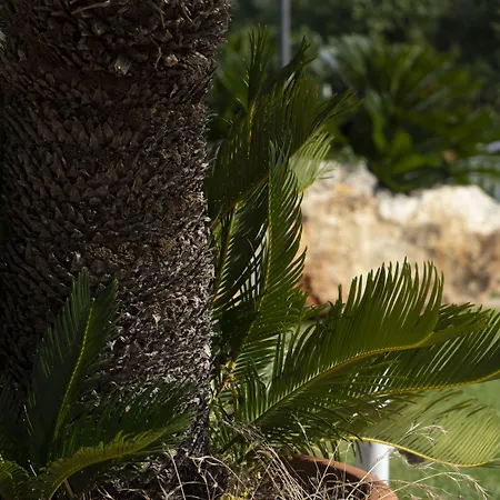 Corallo Eco Wellness Hotel-2